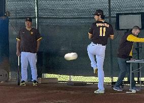 Baseball: MLB spring training