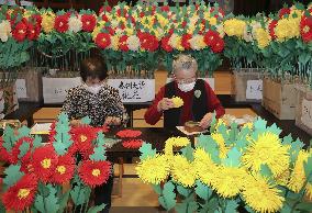 Making of imitation chrysanthemums peaks ahead of shrine festival