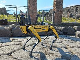 ITALY-POMPEII-ARCHAEOLOGICAL PARK-ROBOT