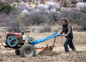 CHINA-TIBET-SPRING PLOUGHING (CN)