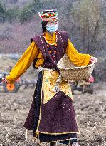 CHINA-TIBET-SPRING PLOUGHING (CN)