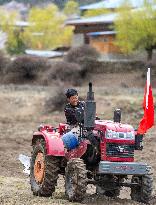 CHINA-TIBET-SPRING PLOUGHING (CN)