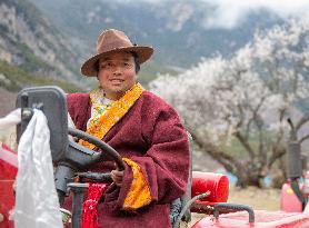 CHINA-TIBET-SPRING PLOUGHING (CN)