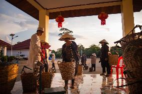 LAOS-CHAMPASAK-CHINESE TEA-PLANTING