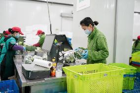 CHINA-SHANGHAI-COVID-19-TEST CAMPAIGN-PREPARATION (CN)