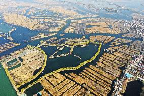 CHINA-HEBEI-XIONG'AN NEW AREA-FIFTH ANNIVERSARY-AERIAL VIEW (CN)
