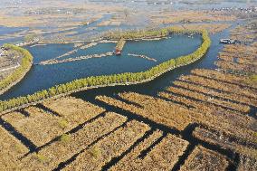 CHINA-HEBEI-XIONG'AN NEW AREA-FIFTH ANNIVERSARY-AERIAL VIEW (CN)