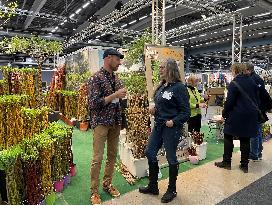 SWEDEN-STOCKHOLM-NORDIC GARDENS