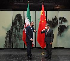 CHINA-ANHUI-WANG YI-IRANIAN FM-MEETING (CN)