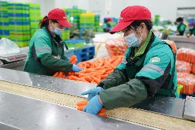 CHINA-SHANGHAI-COVID-19-PREVENTION & CONTROL-VEGETABLES-SUPPLY (CN)