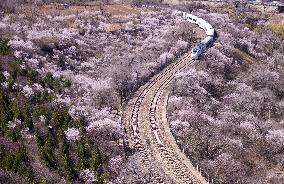 CHINA-BEIJING-SUBURBAN RAILWAY-SCENERY (CN)