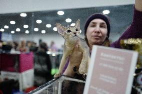 RUSSIA-MOSCOW-CAT SHOW