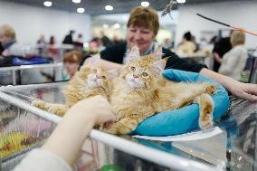 RUSSIA-MOSCOW-CAT SHOW