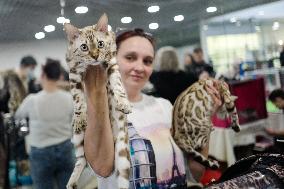 RUSSIA-MOSCOW-CAT SHOW