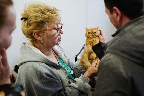 RUSSIA-MOSCOW-CAT SHOW