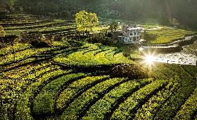 CHINA-SHAANXI-TERRACED FIELD-SCENERY (CN)
