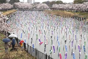 Carp streamers flown in eastern Japan city