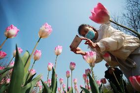 #CHINA-SPRING-LIFE(CN)