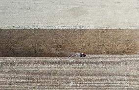 CHINA-XINJIANG-SPRING FARMING (CN)