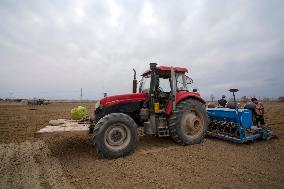 CHINA-XINJIANG-SPRING FARMING (CN)