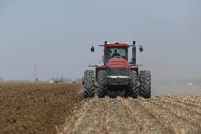 CHINA-XINJIANG-SPRING FARMING (CN)