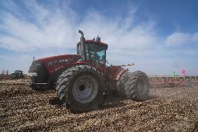 CHINA-XINJIANG-SPRING FARMING (CN)