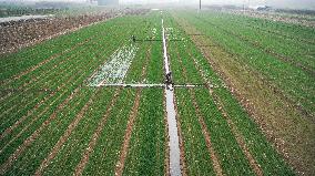 #CHINA-SPRING-QINGMING-FARMING (CN)