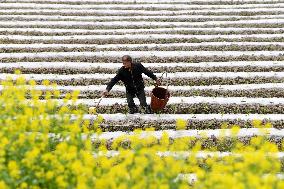 #CHINA-SPRING-QINGMING-FARMING (CN)