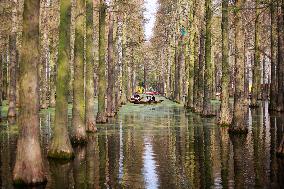 #CHINA-QINGMING-SPRING VIEW (CN)