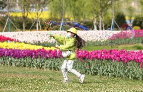 #CHINA-QINGMING-SPRING VIEW (CN)