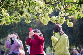 #CHINA-QINGMING-SPRING VIEW (CN)