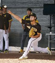 Baseball: MLB spring training