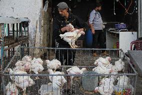 MIDEAST-GAZA CITY-POULTRY