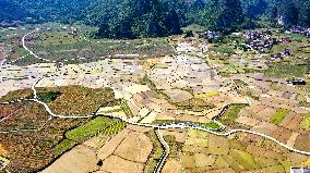 CHINA-GUANGXI-DAHUA-PADDY FIELD (CN)