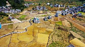 CHINA-GUANGXI-DAHUA-PADDY FIELD (CN)