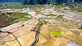 CHINA-GUANGXI-DAHUA-PADDY FIELD (CN)