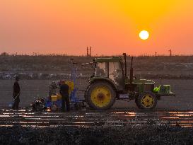 CHINA-XINJIANG-COTTON-FARMING (CN)