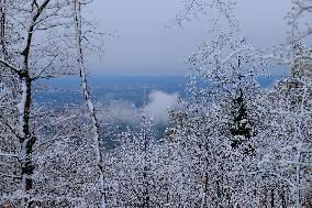 CROATIA-MEDVEDNICA NATURE PARK-SNOW