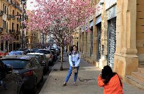 LEBANON-BEIRUT-FLOWERS-BLOSSOM