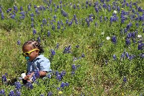 U.S.-TEXAS-HOUSTON-BLUEBONNET