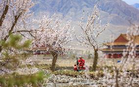 #CHINA-SPRING FARMING (CN)