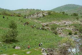 UZBEKISTAN-TASHKENT-SPRING VIEW