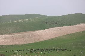 UZBEKISTAN-TASHKENT-SPRING VIEW