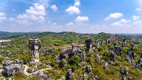 (SkyEye)CHINA-YUNNAN-SHILIN-KARST-SCENERY (CN)