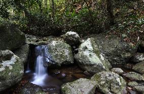 CHINA-HAINAN-WUZHISHAN-SCENERY (CN)