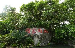 CHINA-HAINAN-WUZHISHAN-SCENERY (CN)