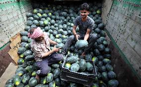 KASHMIR-JAMMU-WATER MELON