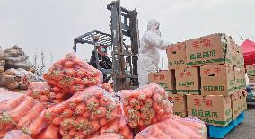 CHINA-LIAONING-SHANGHAI-FOOD-SUPPORT (CN)