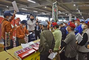 Mangoes made in southwestern Japan