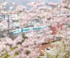 Bullet train in northeastern Japan